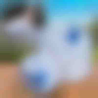 Zložljiv zbiralnik za vodo (10L) | AQUATANK