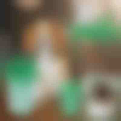 Posoda za čiščenje pasjih tačk | PAWSANI