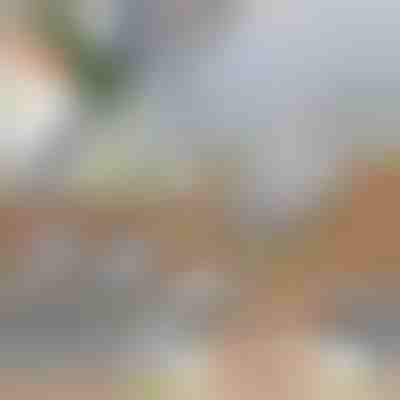 Večnamenski rezalnik za zelenjavo | SLICEIEST (4 rezila BREZPLAČNO)