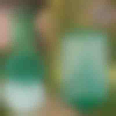 Večkrat uporabna viseča past za muhe za vrt, teraso in balkon | INSECTA