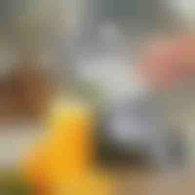 Ročni sokovnik | JUVOPRESS