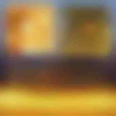 Praznična LED svetlobna mreža | LUMONET