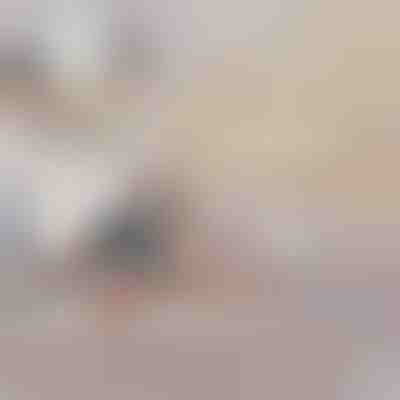 Napihljiv Kavč v Posteljo (2-v-1) | SOFLINKA