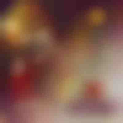 Božični okraski s sponko za denar (3 kosi) | ORNATASTIC