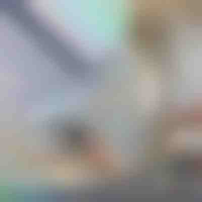 Dekorativna in zaščitna folija za okna | PRISMWRAP