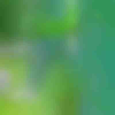 Orodje za odstranjevanje plevela | SPINOUT