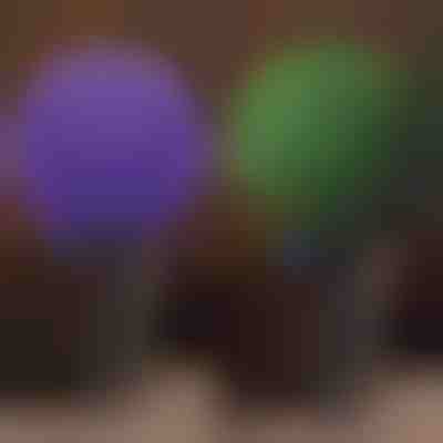 Dekorativna rastlinska krogla | TOPIORB