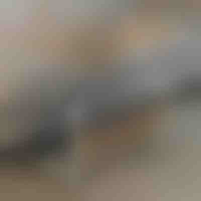 Prenosna miza | EVOSTUL