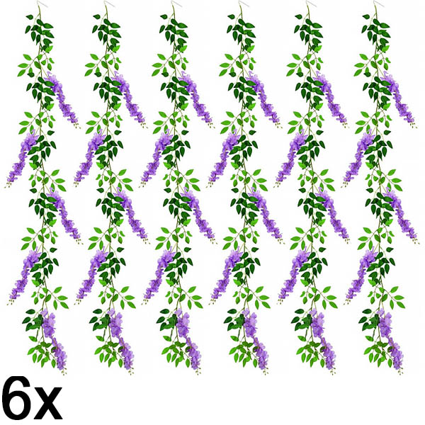6x Plezalka s cvetovi glicinije | WISBLOOM