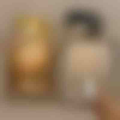 Magnetna luč za slike – brezžična LED, RGB + topla bela | ARTIONIC