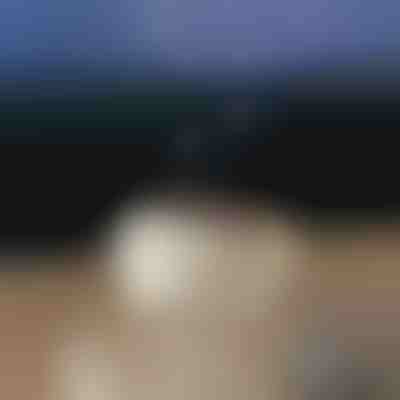 Pomirjujoči difuzor arom | MEDUSAMIST