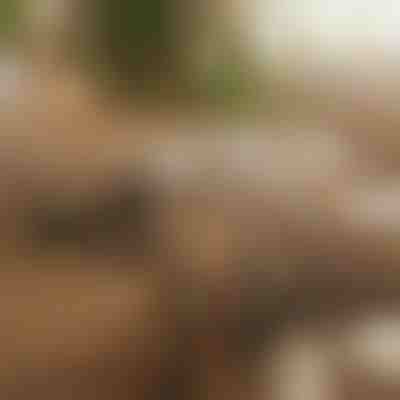 Magnetni samolepilni organizatorji kablov (12 kosov) | CABLIP