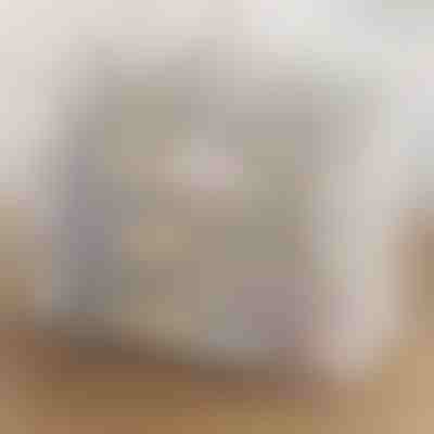 Prozorna zložljiva škatla za shranjevanje čevljev | DURASTOR